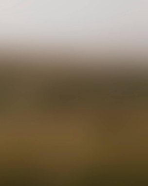 Renklerin soyut bulanık arkaplanı