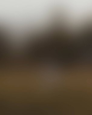 Renklerin soyut bulanık arkaplanı