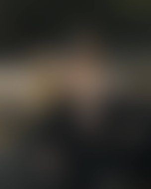 Renklerin soyut bulanık arkaplanı