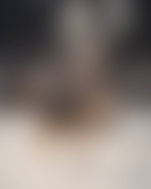 Renklerin soyut bulanık arkaplanı