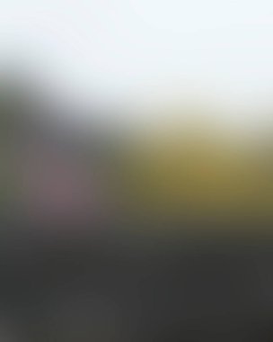 Renklerin soyut bulanık arkaplanı