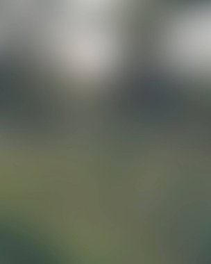 Renklerin soyut bulanık arkaplanı