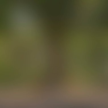 Renklerin soyut bulanık arkaplanı