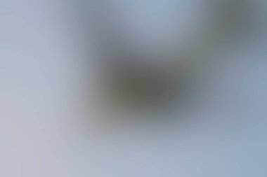 Renklerin soyut bulanık arkaplanı