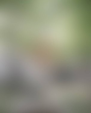 Renklerin soyut bulanık arkaplanı