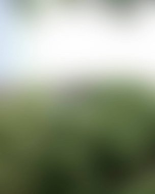 Renklerin soyut bulanık arkaplanı