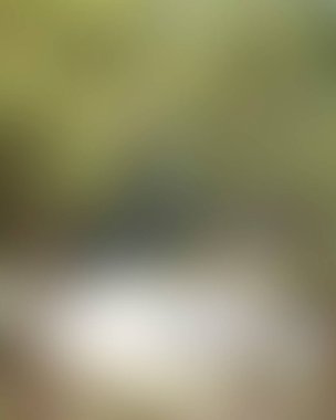 Renklerin soyut bulanık arkaplanı