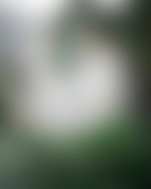 Renklerin soyut bulanık arkaplanı