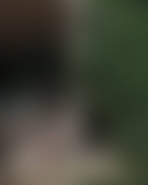 Renklerin soyut bulanık arkaplanı