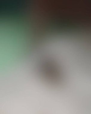 Renklerin soyut bulanık arkaplanı