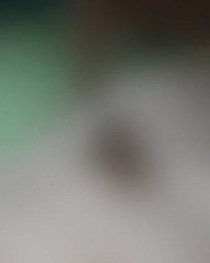 Renklerin soyut bulanık arkaplanı