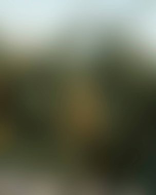 Renklerin soyut bulanık arkaplanı