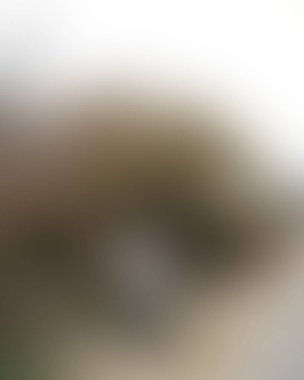 Renklerin soyut bulanık arkaplanı