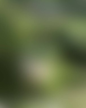 Renklerin soyut bulanık arkaplanı