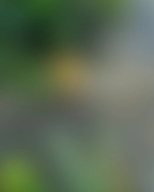 Renklerin soyut bulanık arkaplanı