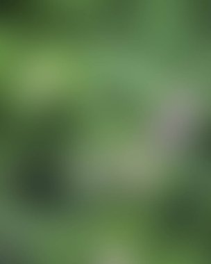 Renklerin soyut bulanık arkaplanı