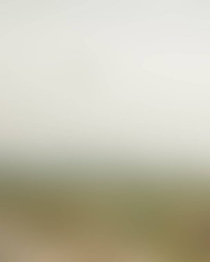 Renklerin soyut bulanık arkaplanı