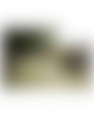 Renklerin soyut bulanık arkaplanı