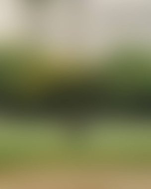 Renklerin soyut bulanık arkaplanı