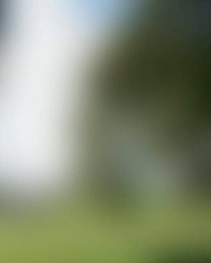 Renklerin soyut bulanık arkaplanı