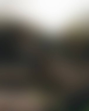 Renklerin soyut bulanık arkaplanı