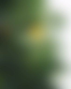 Renklerin soyut bulanık arkaplanı