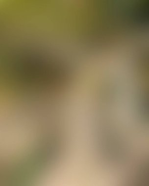 Renklerin soyut bulanık arkaplanı