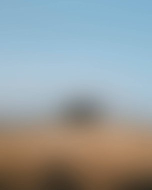 Renklerin soyut bulanık arkaplanı