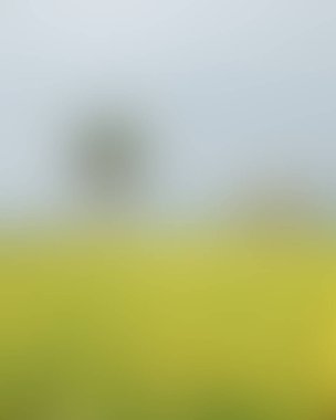 Renklerin soyut bulanık arkaplanı