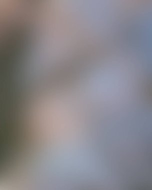 Renklerin soyut bulanık arkaplanı