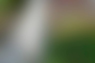 Renklerin soyut bulanık arkaplanı