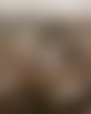 Renklerin soyut bulanık arkaplanı