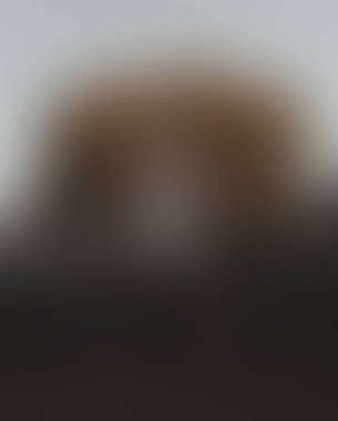 Renklerin soyut bulanık arkaplanı