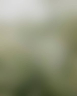 Renklerin soyut bulanık arkaplanı