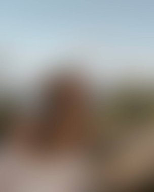 Renklerin soyut bulanık arkaplanı