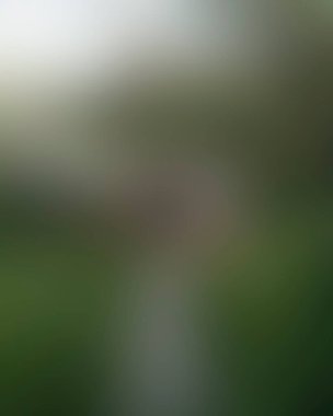 Renklerin soyut bulanık arkaplanı