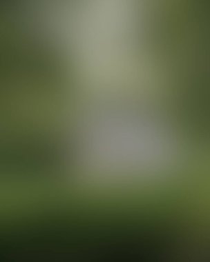 Renklerin soyut bulanık arkaplanı