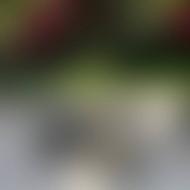 Renklerin soyut bulanık arkaplanı