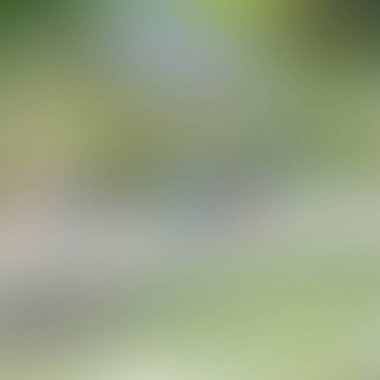 Renklerin soyut bulanık arkaplanı