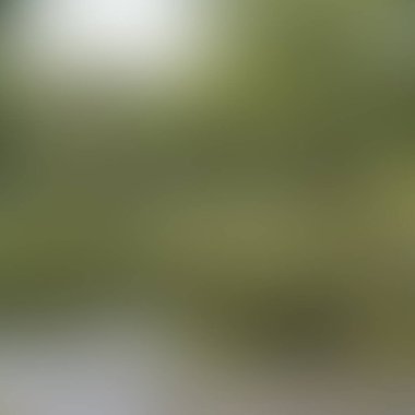 Renklerin soyut bulanık arkaplanı