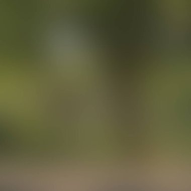 Renklerin soyut bulanık arkaplanı