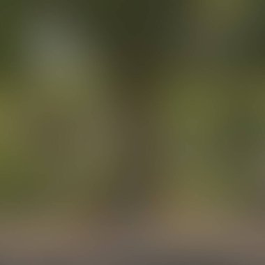 Renklerin soyut bulanık arkaplanı