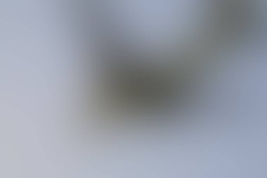 Renklerin soyut bulanık arkaplanı