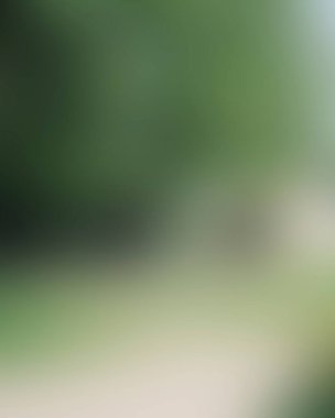 Renklerin soyut bulanık arkaplanı