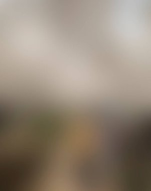 Renklerin soyut bulanık arkaplanı