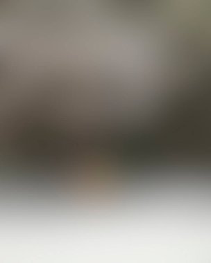 Renklerin soyut bulanık arkaplanı