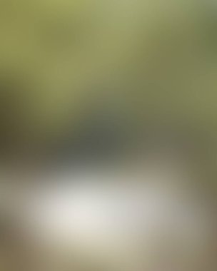 Renklerin soyut bulanık arkaplanı