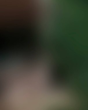 Renklerin soyut bulanık arkaplanı