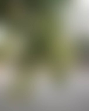 Renklerin soyut bulanık arkaplanı