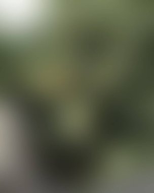 Renklerin soyut bulanık arkaplanı